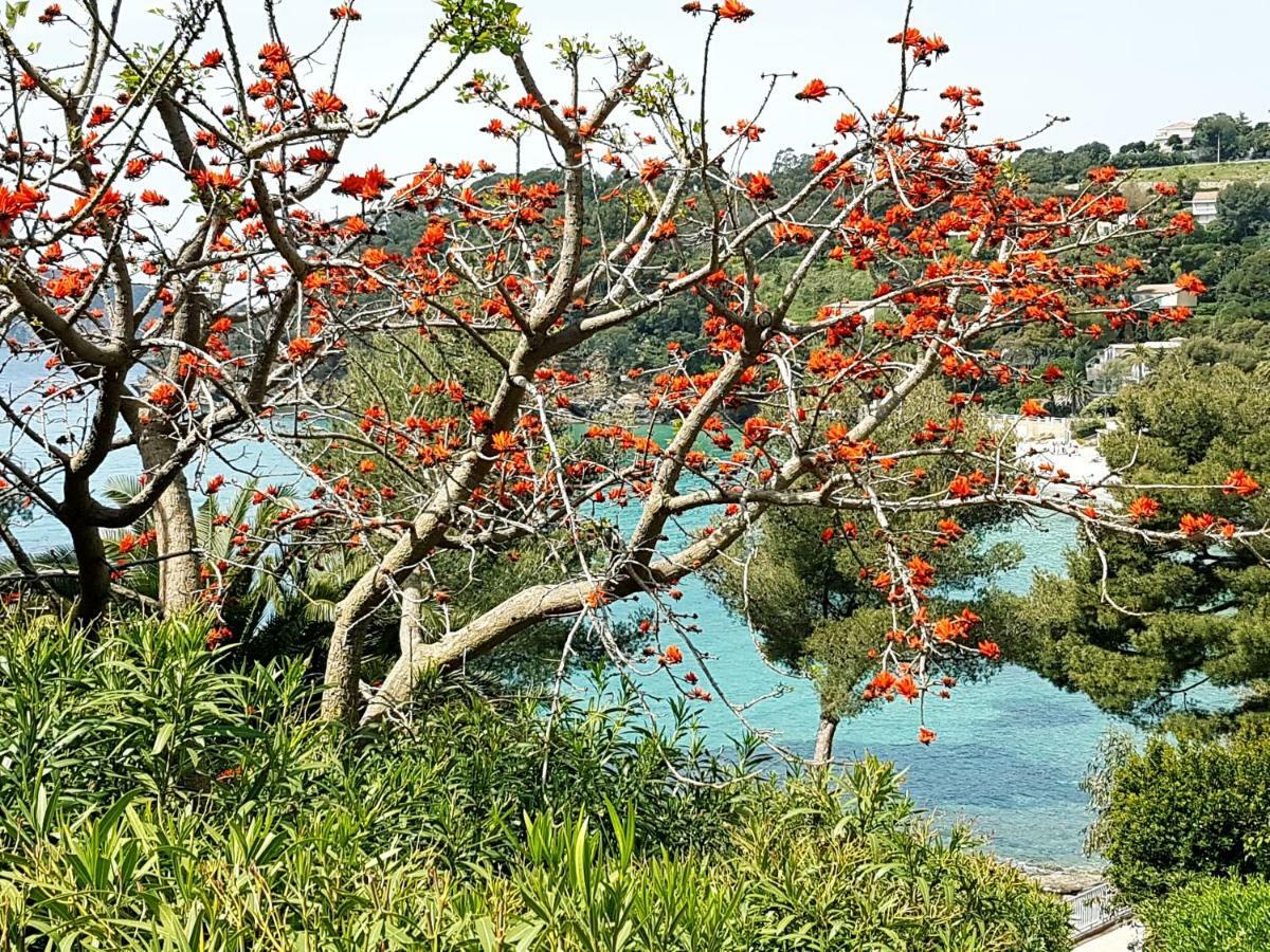 Villa Adriandre Le Le Rayol-Canadel-sur-Mer Ngoại thất bức ảnh
